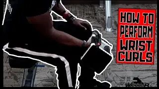 HOW TO PERFORM WRIST CURLS | Ace-1 Warrior Tutorials