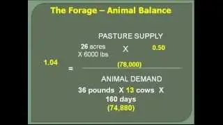 Essential Principles for Conservation Planning on Pastures