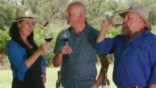 WUDU S08E05: Macca and Tania explore Andrew Peace Wines
