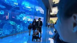 Dubai Aquarium #dubaimall #dubailife #dubai 