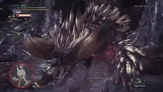 Monster Hunter : World Nergigante speedrun 2'20'' (Long Sword)