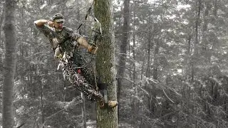 Super Lightweight Mobile Hunting Climbing Gear - Tree Straps