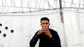 Breeding kay liye  konsa murgha lagaana chahiye || Aseel Breeding Tips #viral #trending