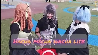 [Black Cats and friends] {Character Teaser group} Hacha M&eacute;cha Wacha Life by Fruit Zipper