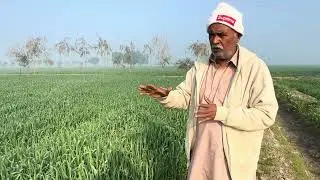 iv3||abbas farm shahdadpur sindh