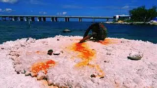 Bahia Honda Beach