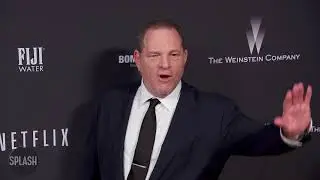 Harvey Weinstein 'under investigation' | Daily Celebrity News | Splash TV