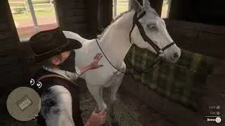 Episode 60: Red Dead Redemption 2 – The Noblest of Men and A Woman Walkthrough | PS5 Gameplay