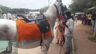 SRI RANGANATHASWAMY TEMPLE | HORSE RIDE #srirangapatna #mysore #karnataka #horseriding #temple #3ಕಾ