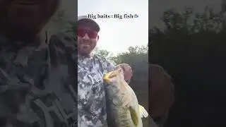 Big baits equal big fish🐟🔥 #fishing #glida #viral #bassfishing #bigbassonly #fypusa #fishtok #fishin
