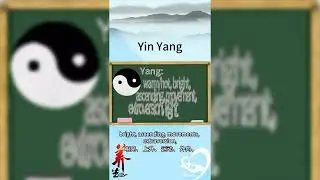 What Does a Yin Yang Mean? #yinyang  #yinyangbalance  #tcm  #chinaculture