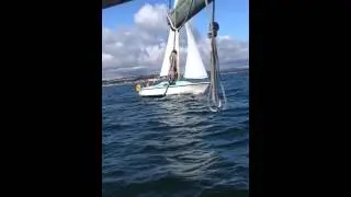 Seal 22