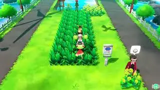 Shiny hunting with shiny Dodrio