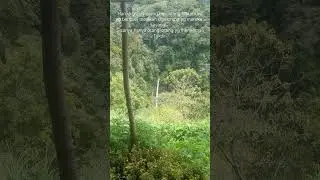 Coban Pelangi🌈 #hiling #music #metal #rock #cover #piano #fishing #mbilung #shortvideo #fish #shorts
