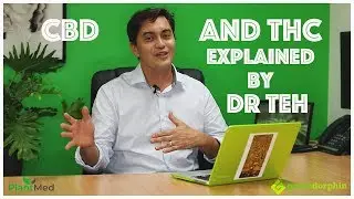 CBD and THC Explained by Dr John Teh Cannabinoid Clinician