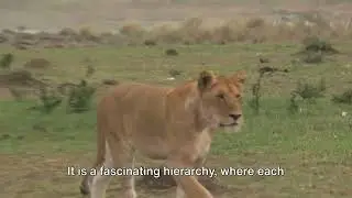 Divine Authority: Nature's Master
