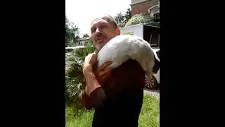 Intervista a Claudio Mangini, l'Animal trainer del Cinema italiano