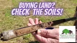 How to Check Soil Quality Before Buying Land