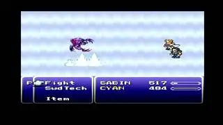 Final Fantasy VI 6 World Of Balance Sabin's Quest Barren's Falls