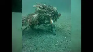 海をつくる会　2022年11月5日　三崎・通り矢水中清掃