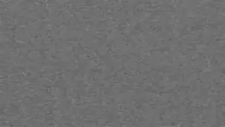 WZWA Backyard TV Intro