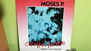 Moses P. &lrm;&ndash; The End (Maxi Mix)