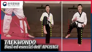 Taekwondo ep. 3 - Basi e potenziamento Apchagi (Calcio frontale)