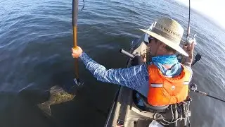 CRAZY Lifelike OCTOPUS LURE - Does it work??? (Slightly Graphic) (Mustad Inkvader)