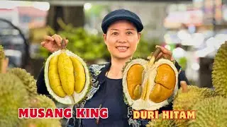 Durian Musang King vs Black Thorn: Mana Lagi Padu? 2026 😱