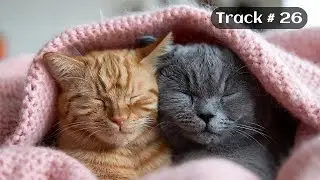 [Sleepy Cats Piano #26] Soft Piano for Deep Relax and Cat Lovers