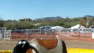 Running with the bulls 