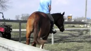 Bo...March 2012
