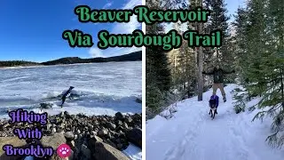 Beaver Reservoir Via Sourdough Trail | Lyons Colorado