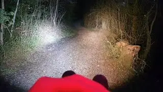 Armytek Vergleich Lichtfarben kaltweiss / warmweiss - Dobermann Pro Magnet - Beamshots