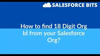 How to find 18 Digit Org Id ?
