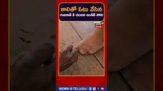 Ankit Soni of Gujarat voted with his feet | కాలితో ఓటు వేసిన అంకిత్ సోని | #shorts #news18shorts