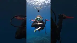 Your Buoyancy V Your Instructor