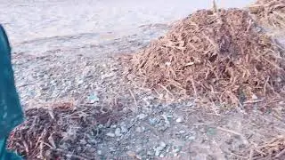 Kurram river Shingak Parachinar