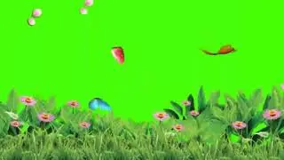 Beautiful Flowers And Butterfly Background Video Green Screen Effects Hd Vfx