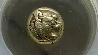 Oldest coin! First coin ever! Lydia lion graded