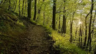 Music for relaxation is a guarantee of academic success or stress reduction