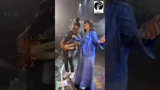 @dedycoutinho pitbullstrings.com.br #baixo #baixobrasil #baixista
