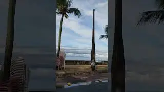 Sou da terra sou do mar - os monganos
