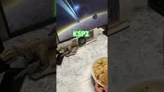 Dinner: fried rice, miso soup #ksp2 #ksp #lufc #leedsunited #leeds