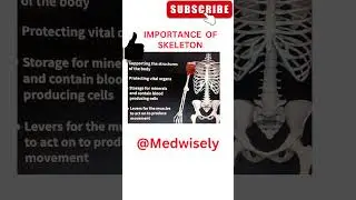 IMPORTANCE OF SKELETON #learn  #anatomytutorial #humananatomy #shortsfeed #viral #medico #ytshorts
