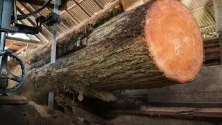 Teak Wood Entering the Machine