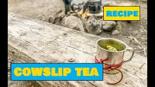 How to Make Cowslip Tea - Easy Outdoors Drinks