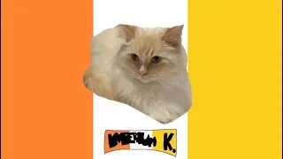 Kitty Empire national anthem