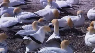 природа