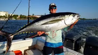 Mediterranean   Fly Fishing For Tuna
